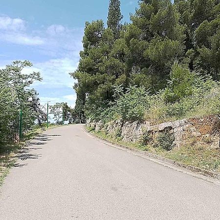 Aga Apartman Ποντγορίτσα Εξωτερικό φωτογραφία