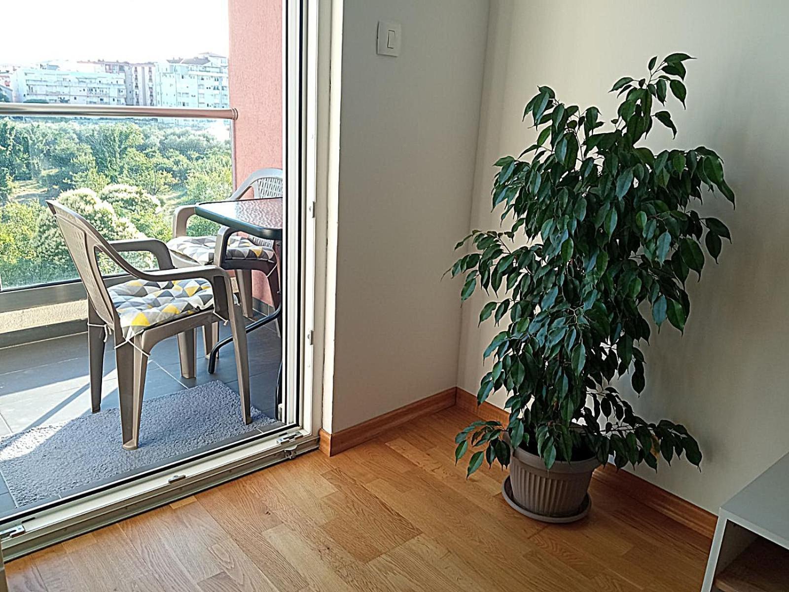 Aga Apartman Ποντγορίτσα Εξωτερικό φωτογραφία